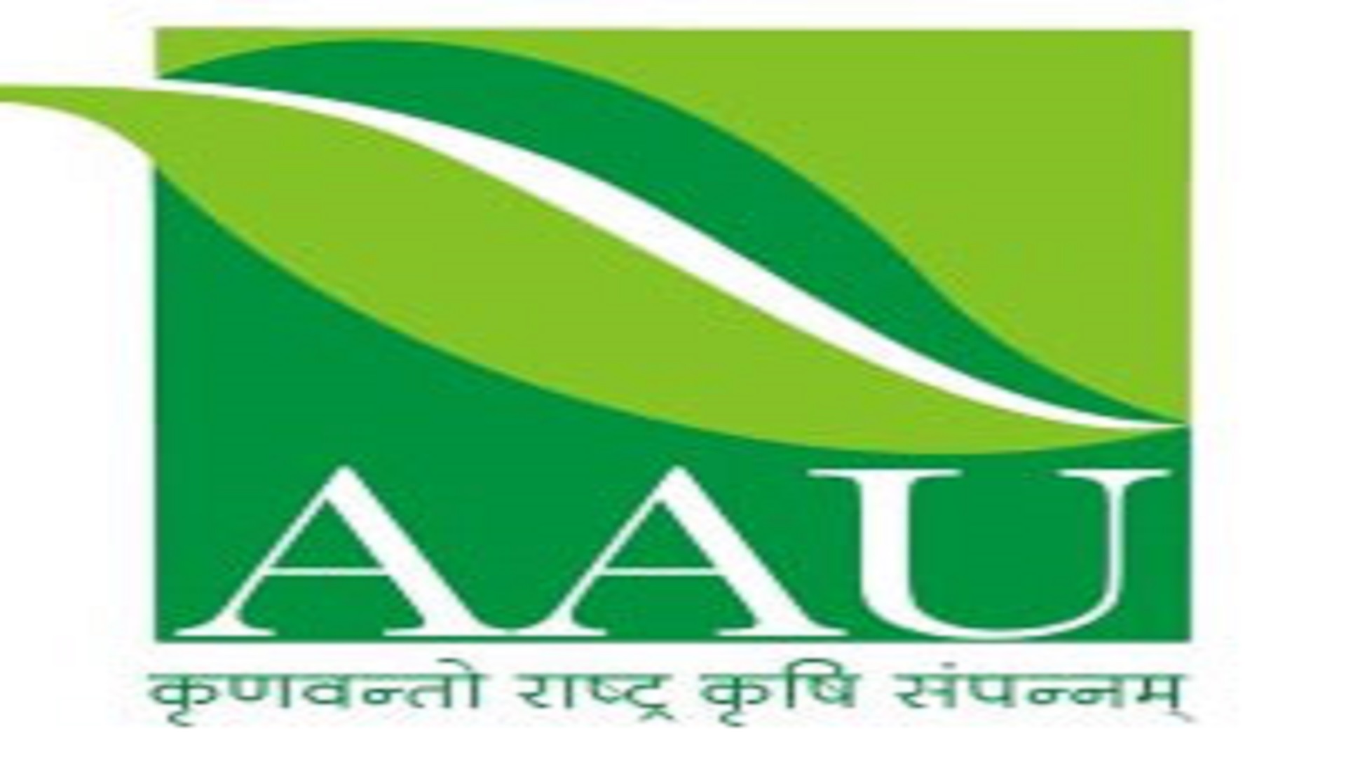 ఏఏయూలో సీనియర్‌ రిసెర్చ్‌ ఫెలో పోస్టులు