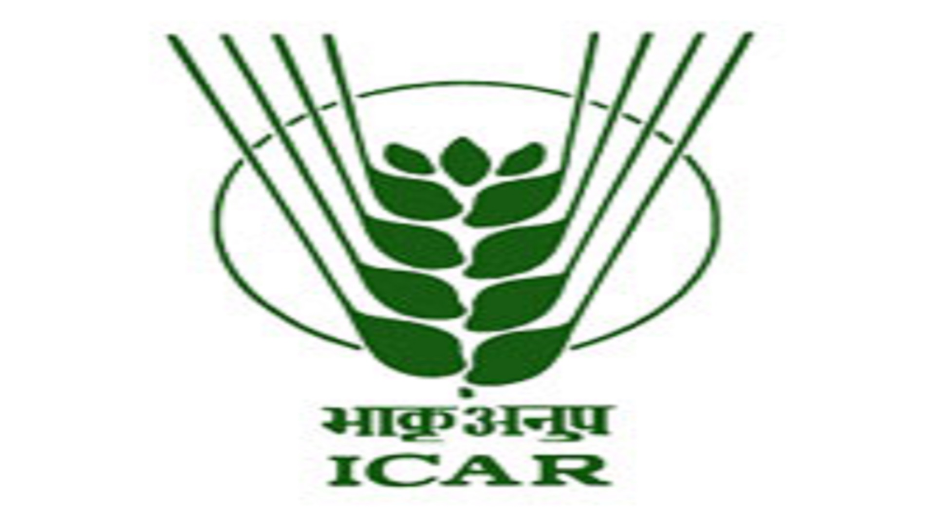 ఐసీఏఆర్‌-ఐఐఎంఆర్‌లో ఉద్యోగాలు