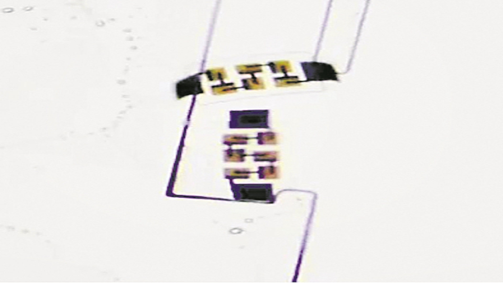 ప్రపంచంలోకెల్లా అతిసూక్ష్మ, స్వతంత్ర రోబోల సృష్టి