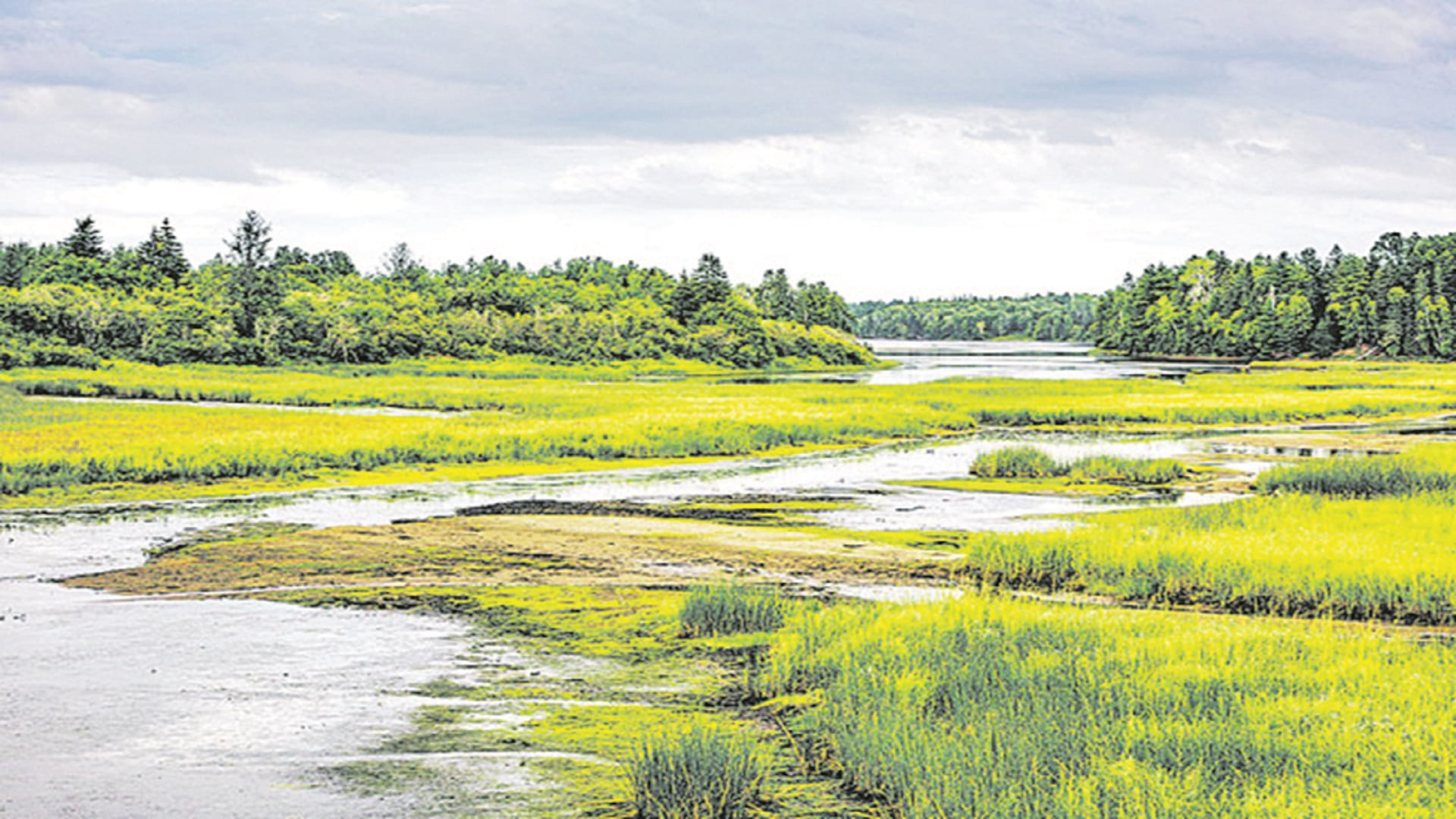 ‘రామ్‌సర్‌’ జాబితాలోకి మరో రెండు చిత్తడి నేలలు