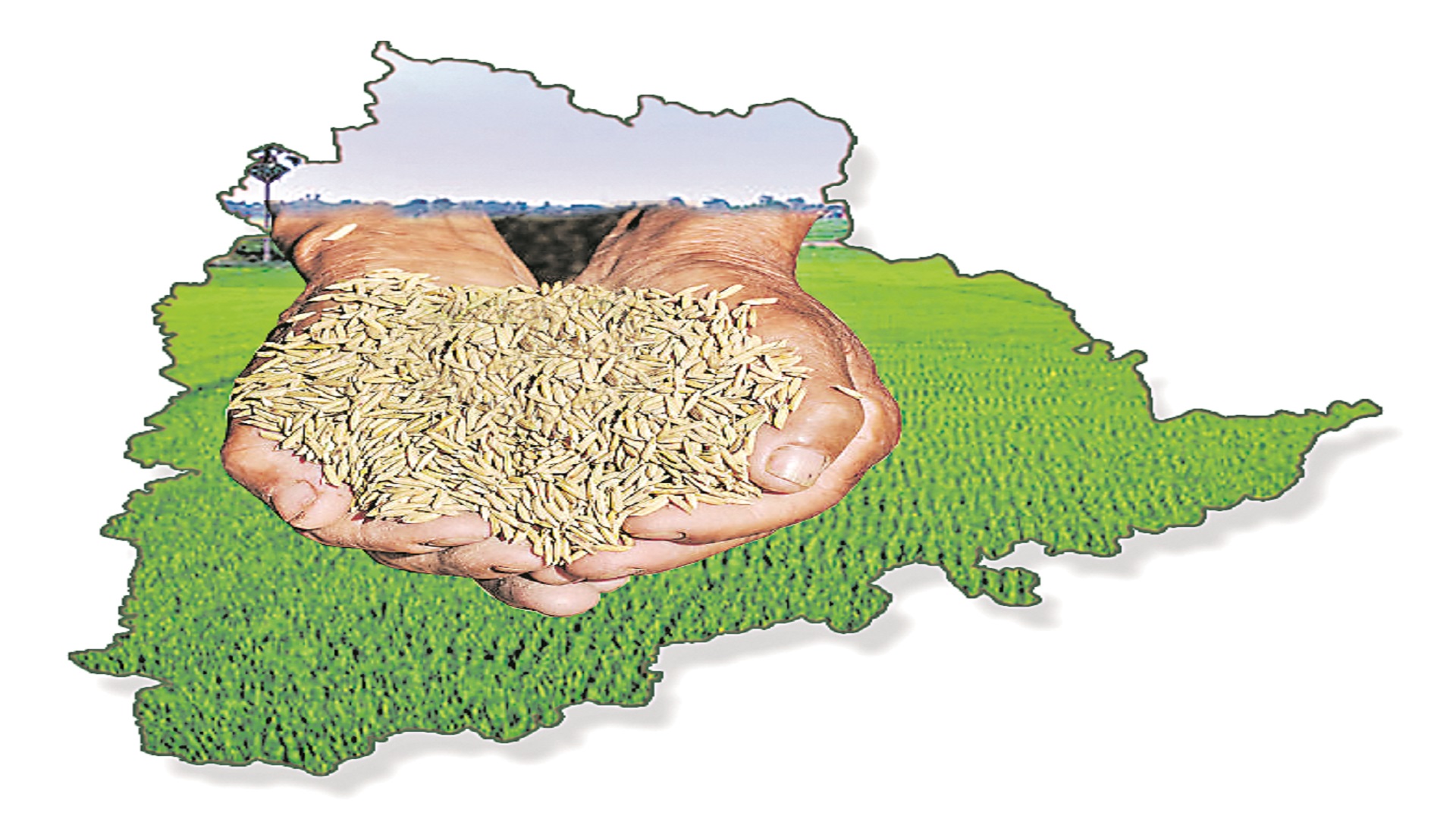 రాష్ట్ర అర్థ, గణాంకశాఖ