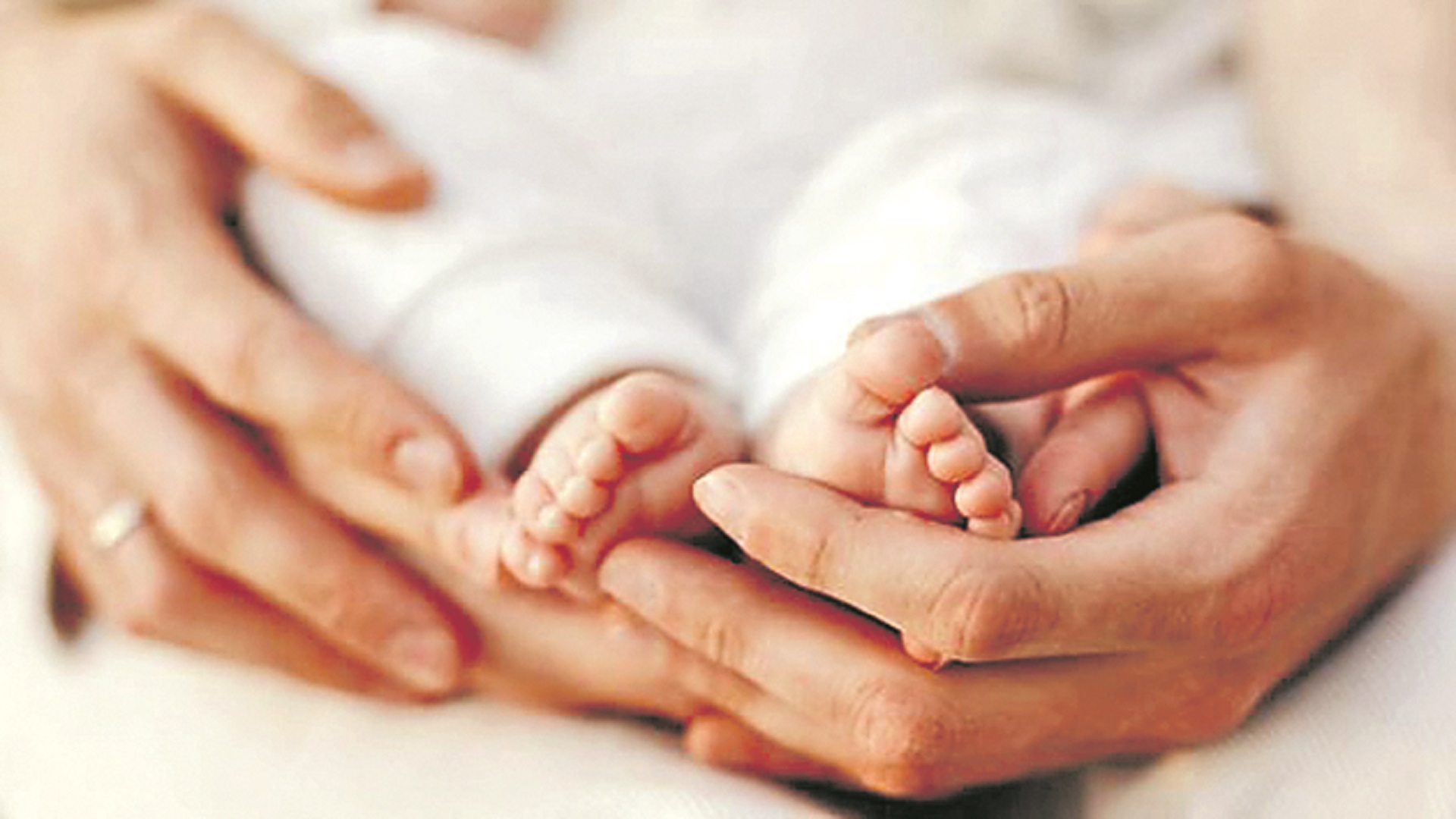 శాంపిల్‌ రిజిస్ట్రేషన్‌ సిస్టమ్‌ నివేదిక