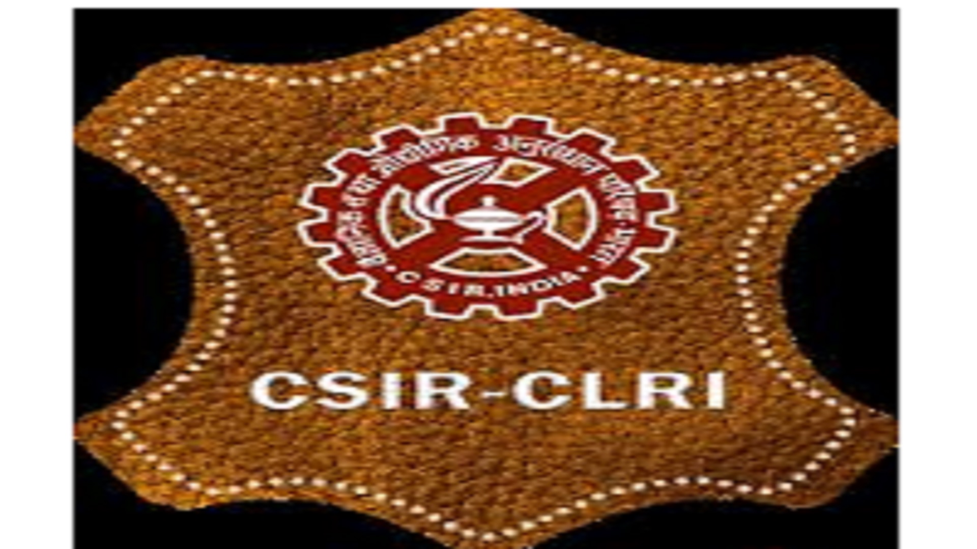 సీఎల్‌ఆర్‌ఐలో జూనియర్‌ స్టెనోగ్రాఫర్‌ పోస్టులు