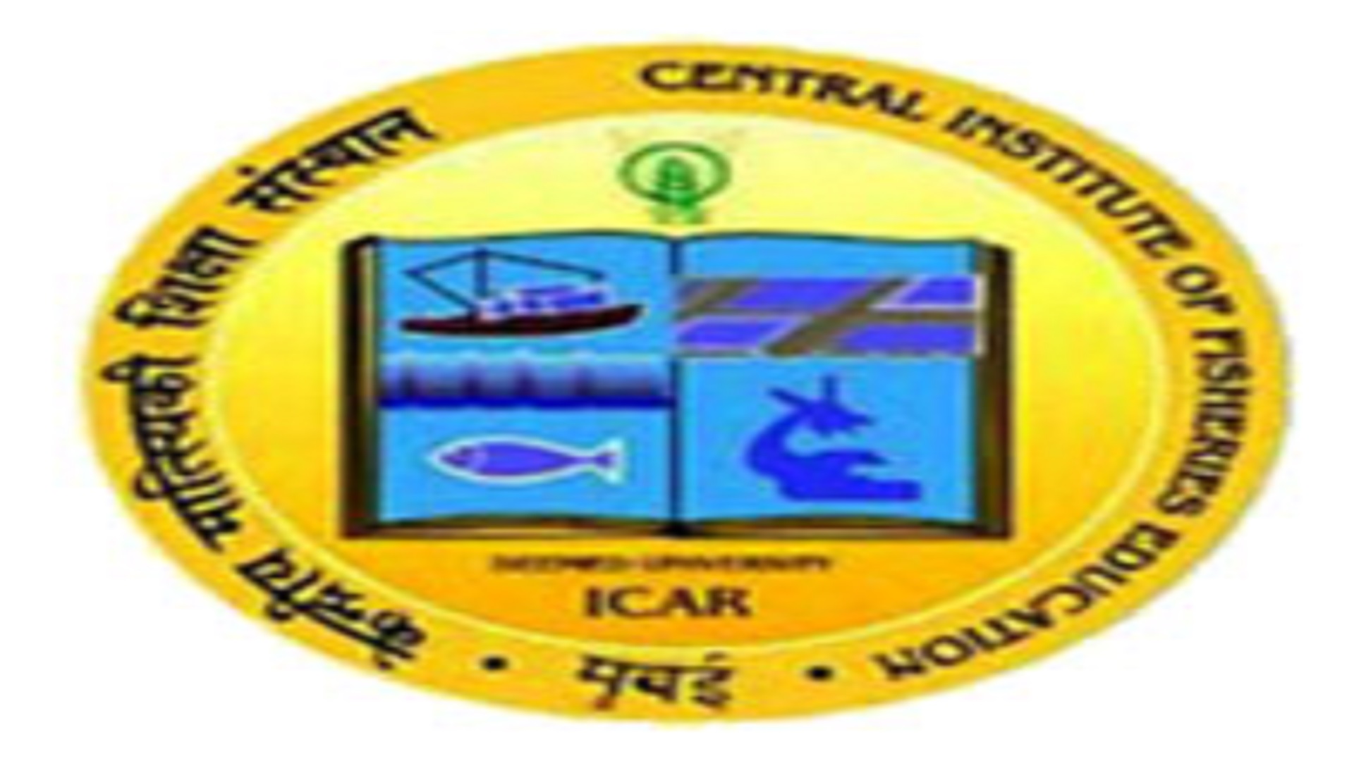 సీఐఎఫ్‌ఈలో టెక్నికల్ అసిస్టెంట్ పోస్టులు
