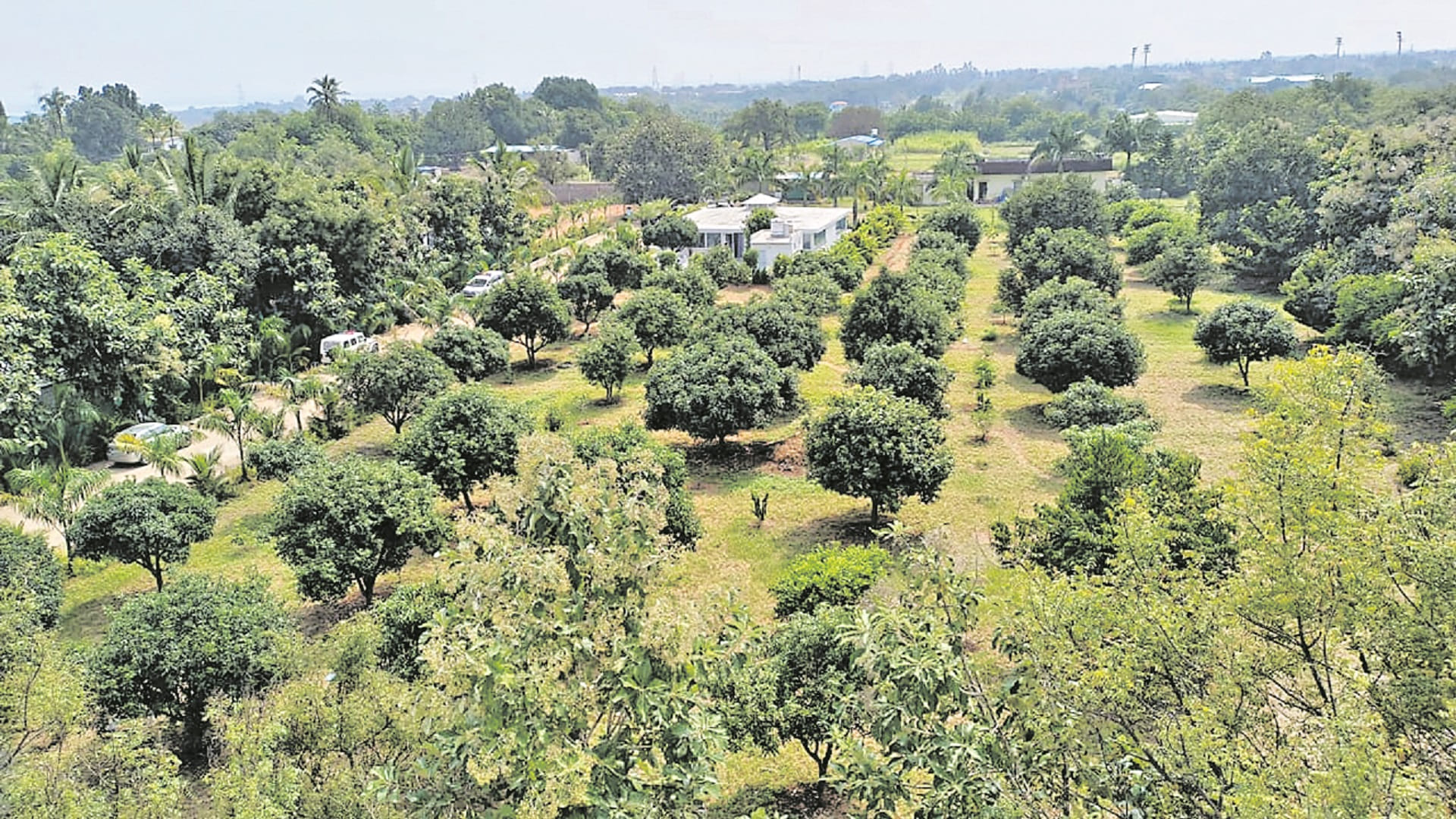 సామాజిక, ఆర్థిక సర్వే