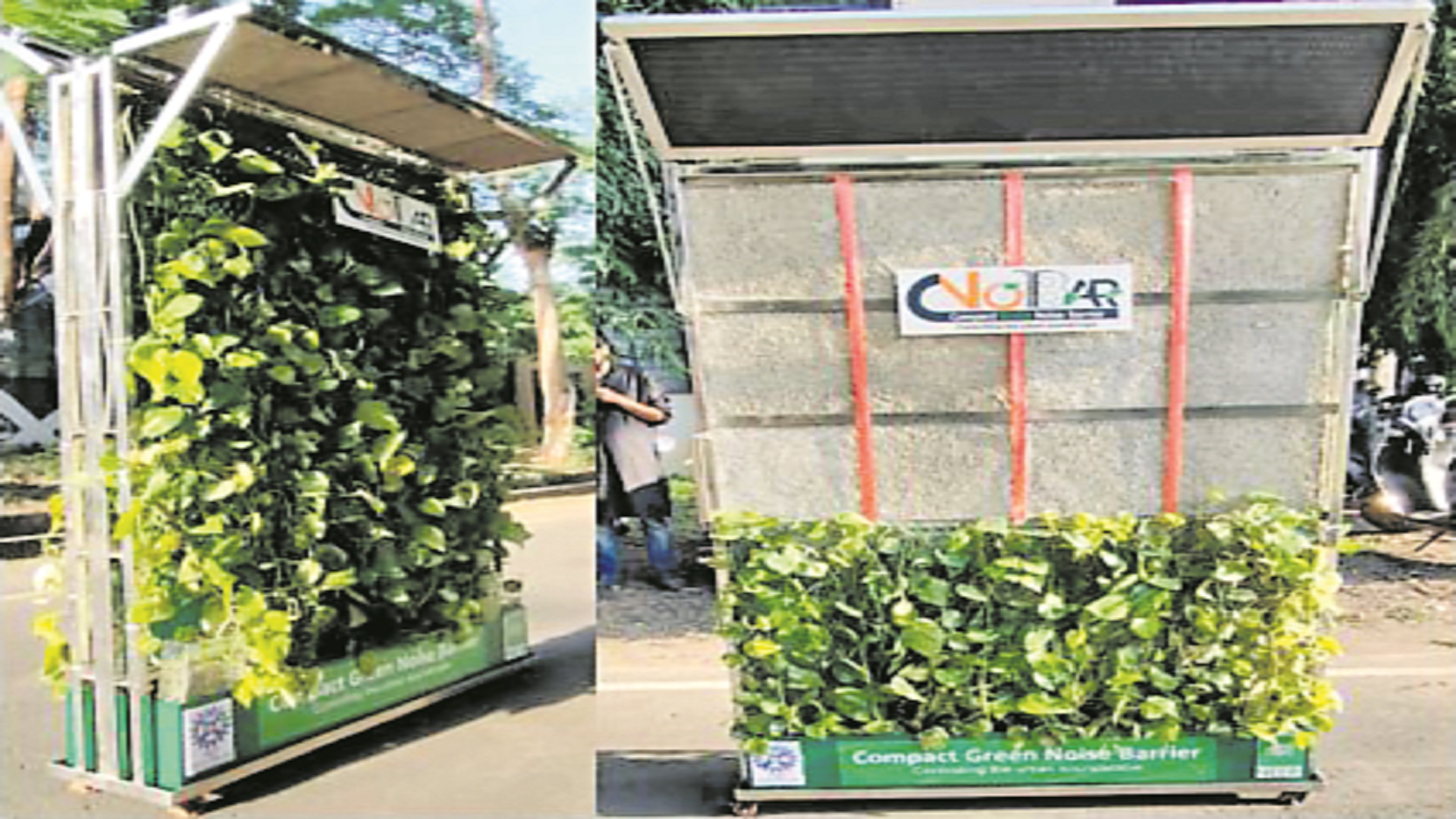 ‘సి-నోబార్‌’