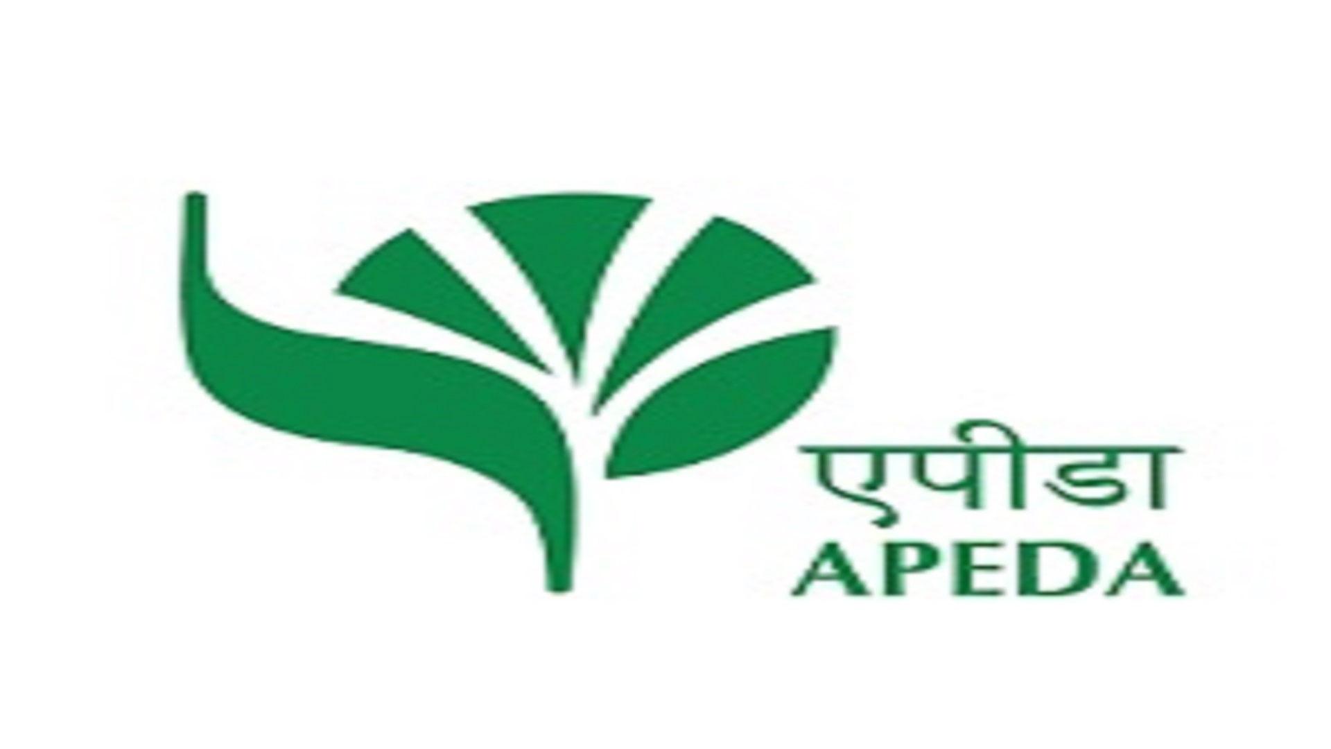 Assistant Manager Posts In APEDA