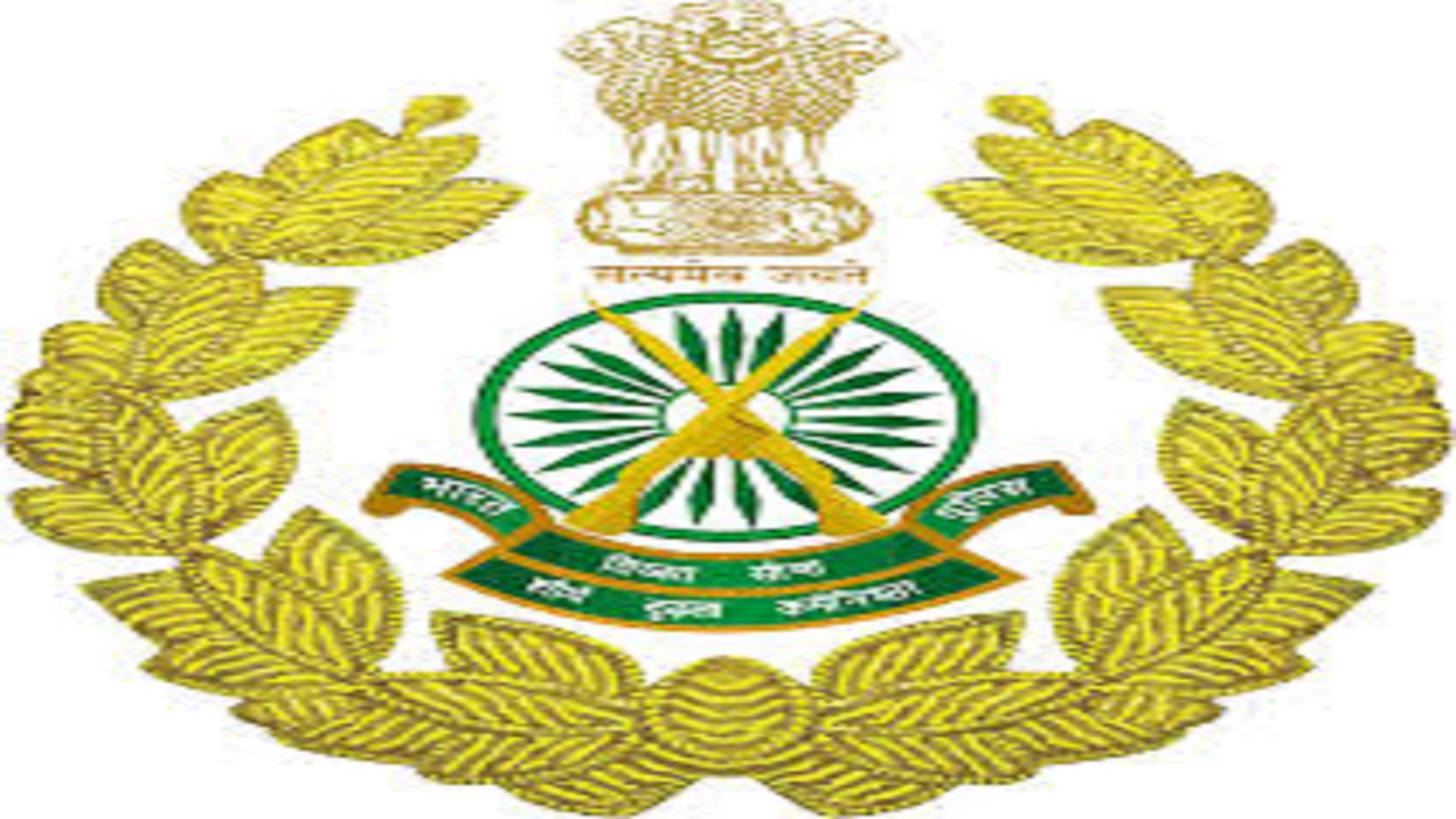 Assistant Surgeon Posts In ITBP