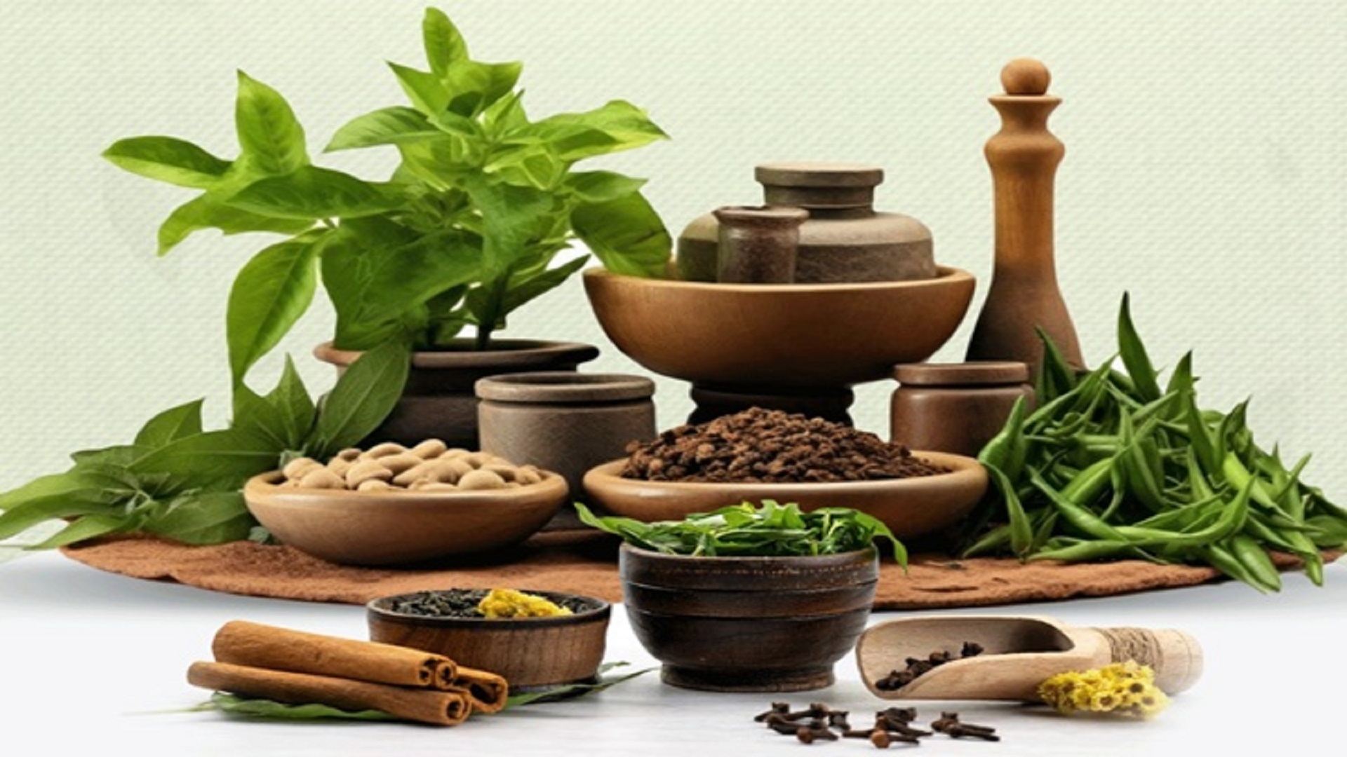 Ayurveda Day