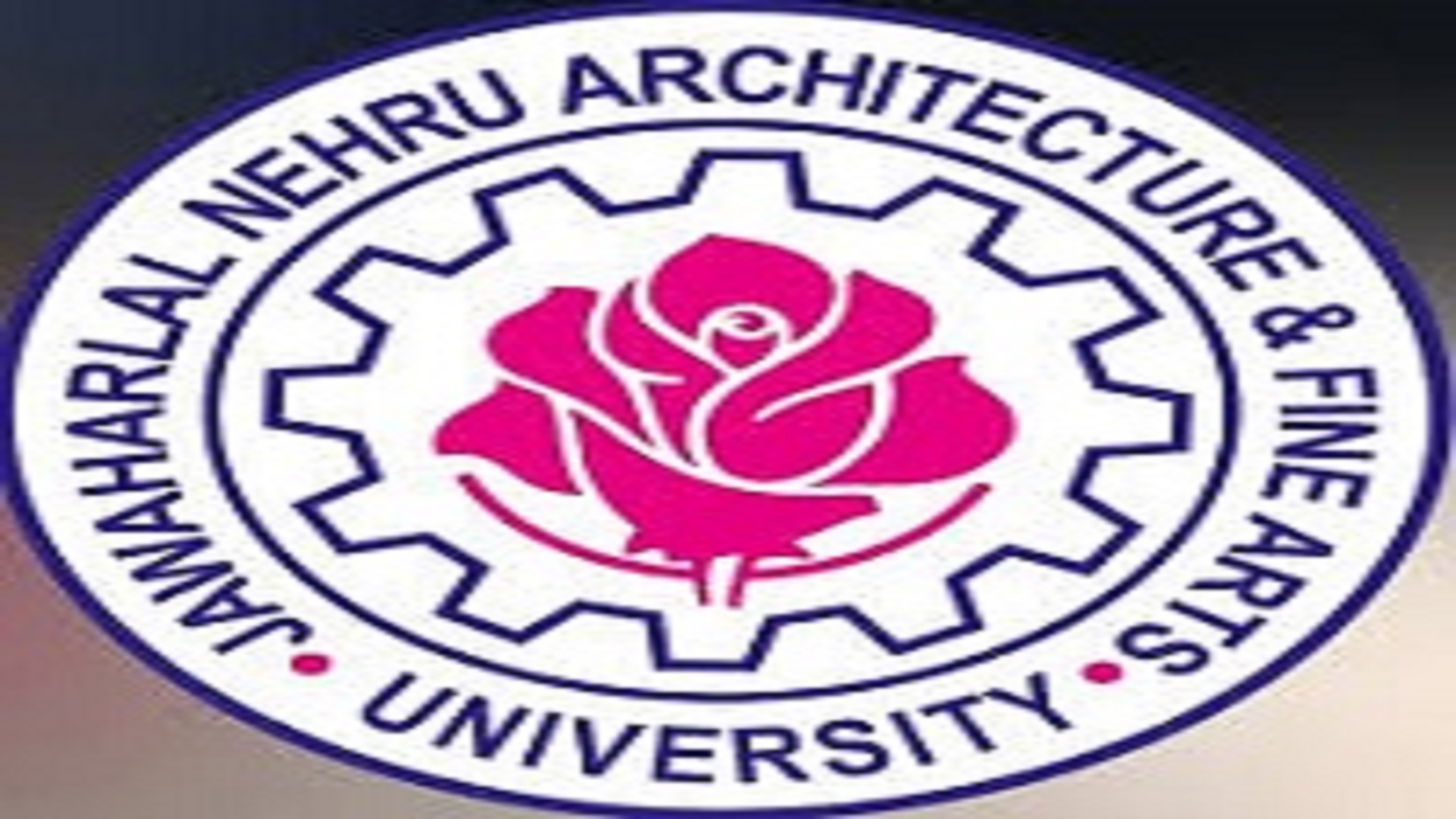 BFA, B.Design Programme In JNAFA University