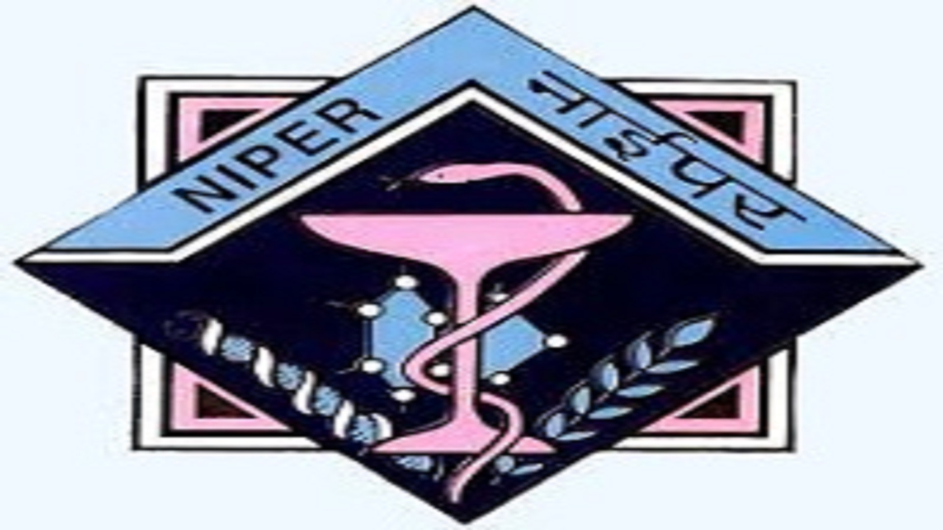 Civil Engineer Posts In NIPER