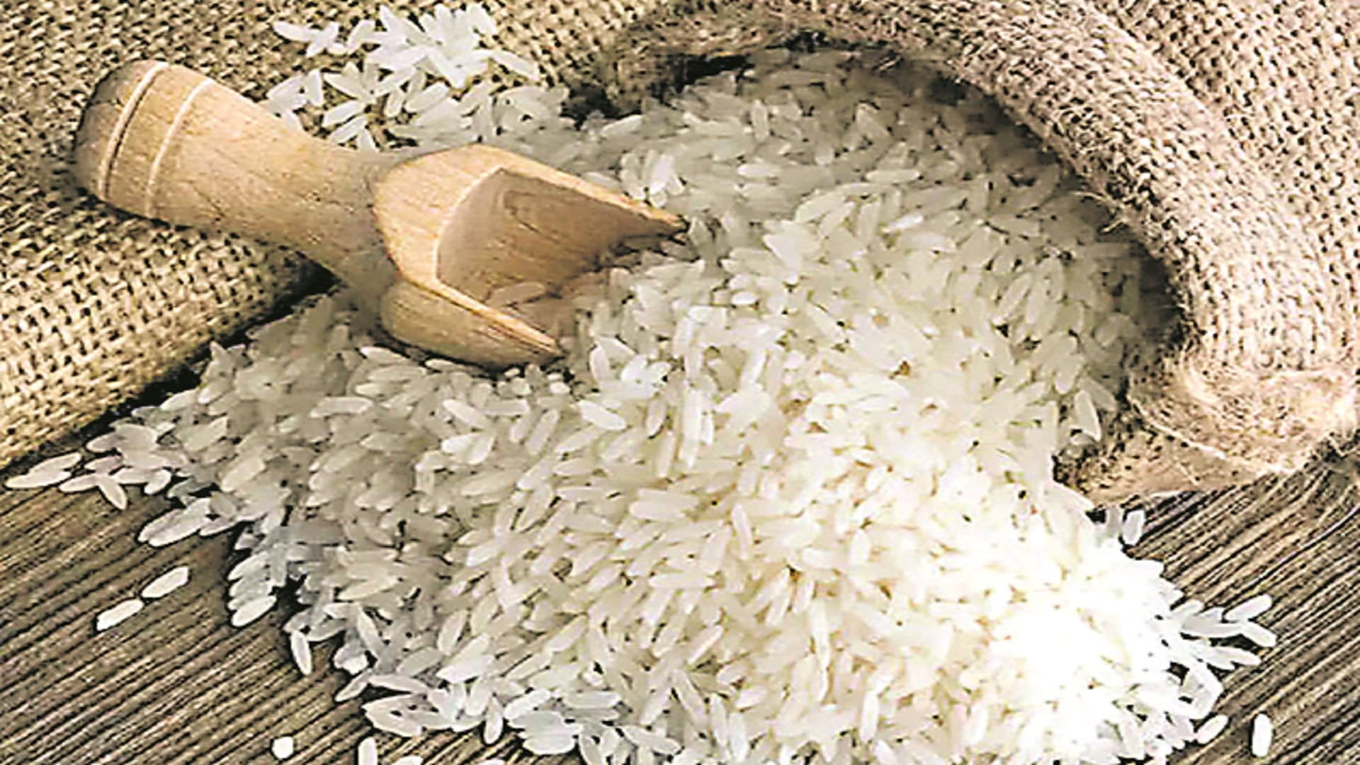 India has become the world’s largest producer of rice