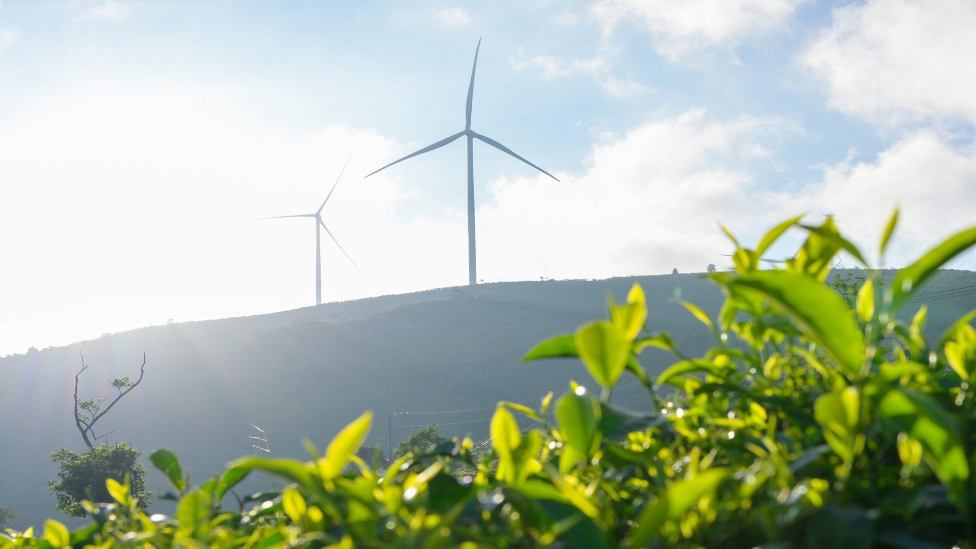 India’s annual wind power capacity