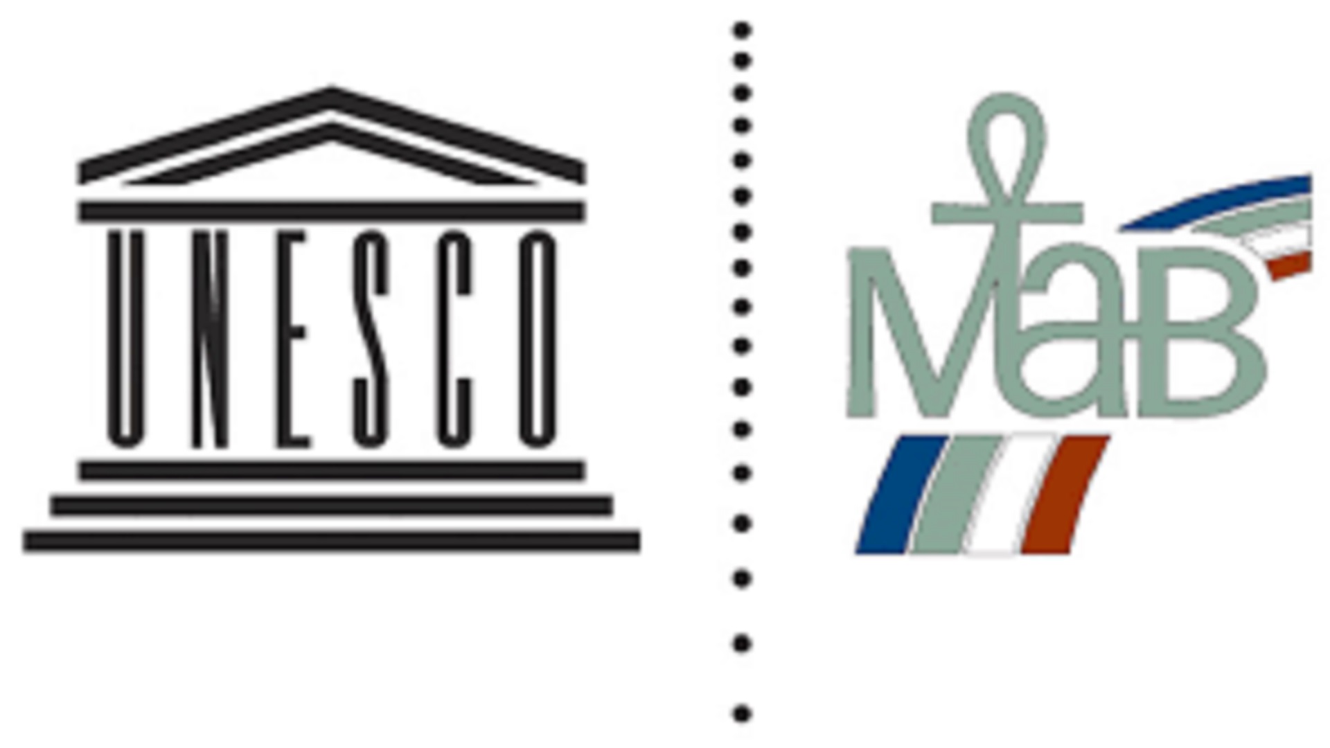 International Coordinating Council of UNESCO