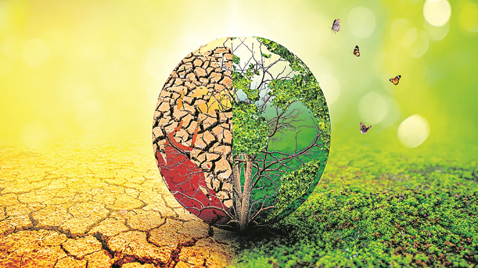 International Mother Earth Day (World Earth Day)