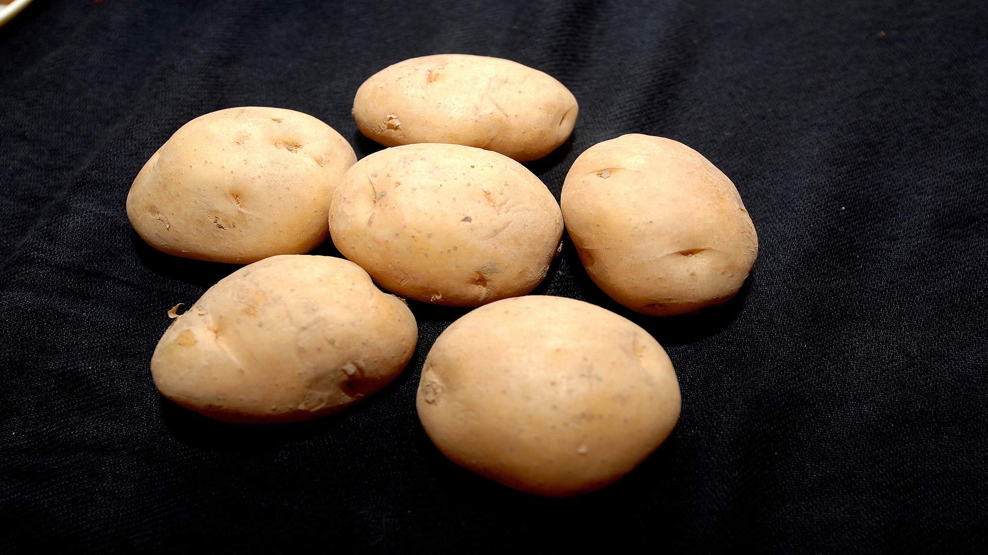 International Potato Day
