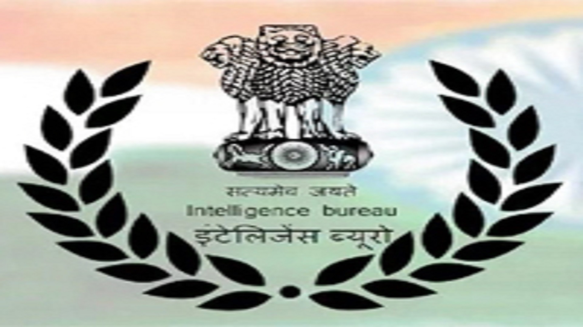 Jobs in Intelligence Bureau
