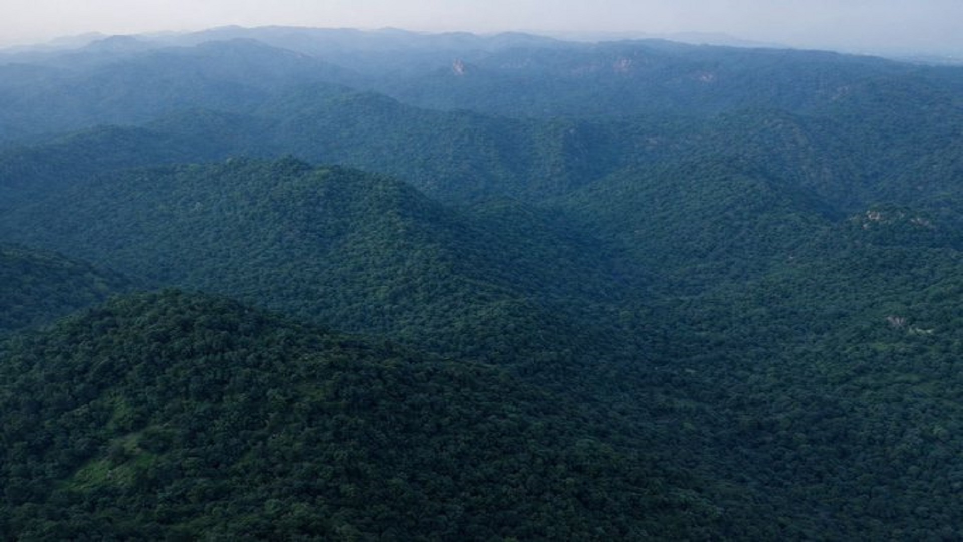 Kumbhalgarh Wildlife Sanctuary