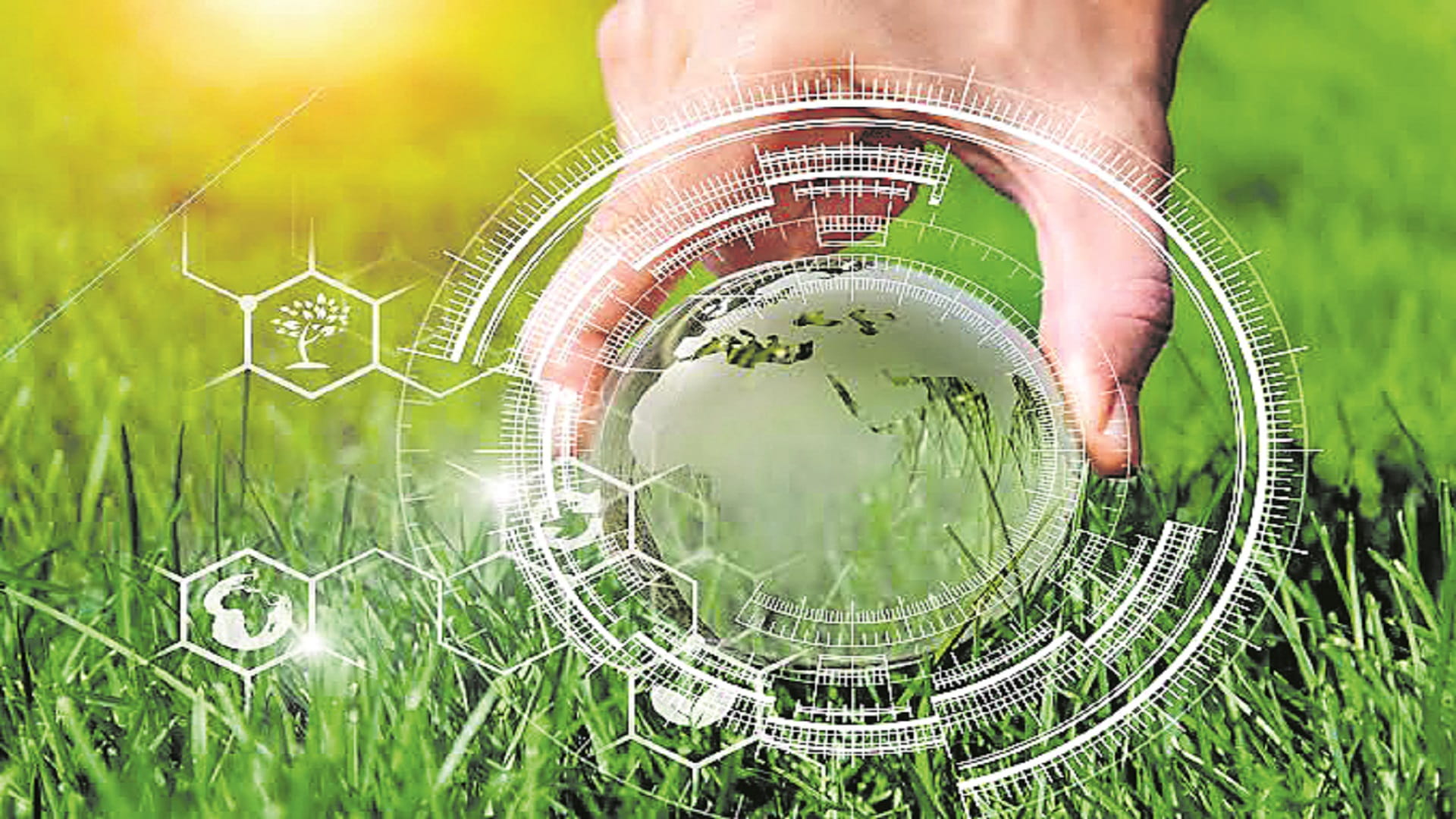 Leading Bio Economy