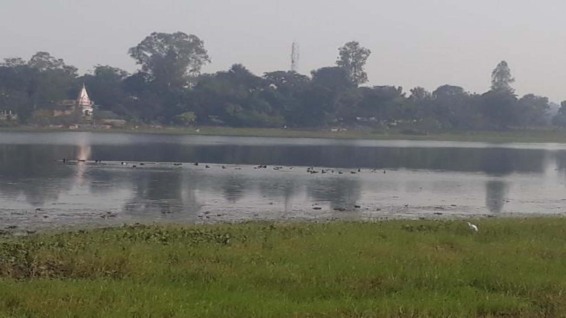 Parvati-Arga Bird Sanctuary