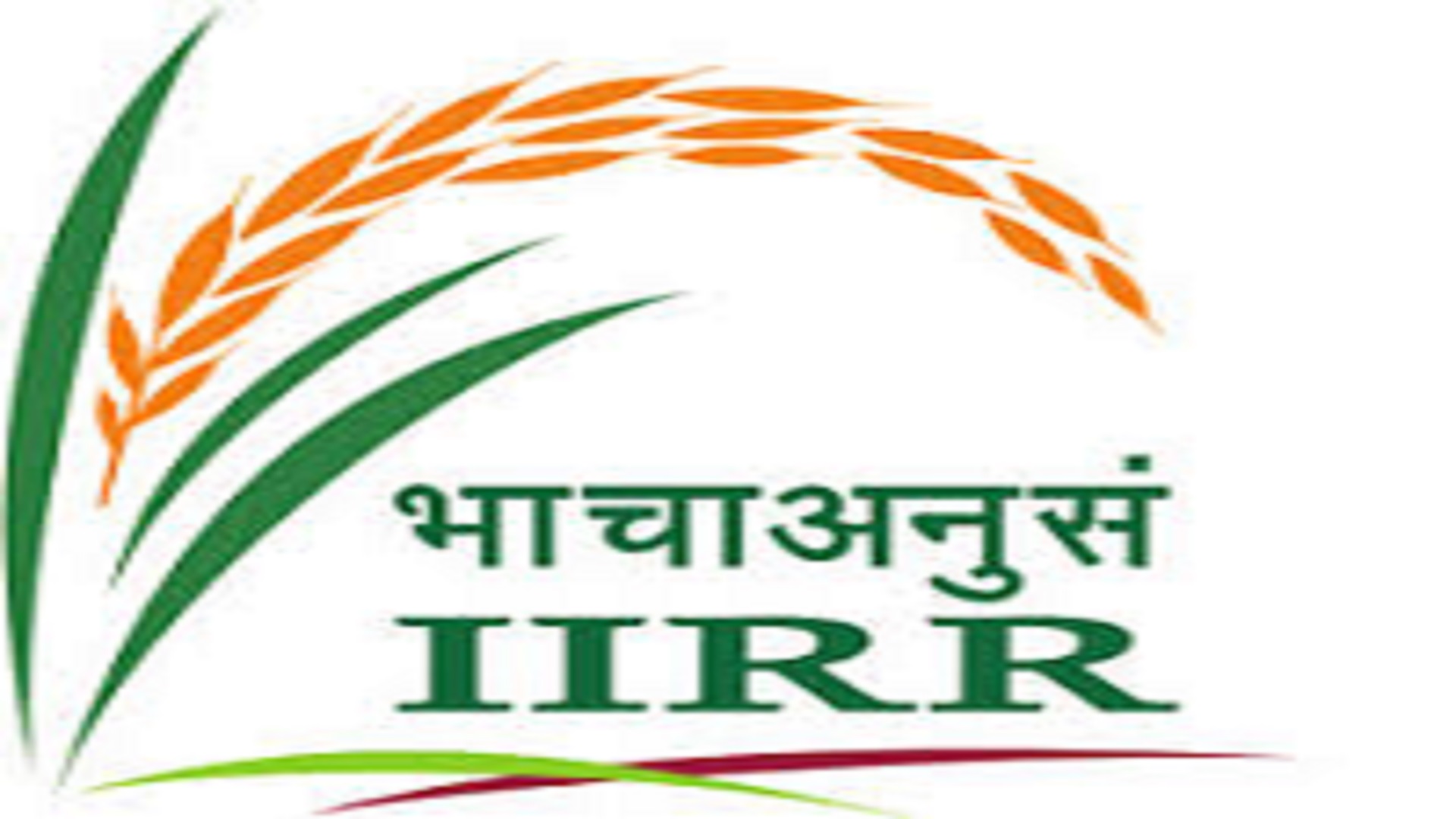 Posts In ICAR-IIRR Hyderabad