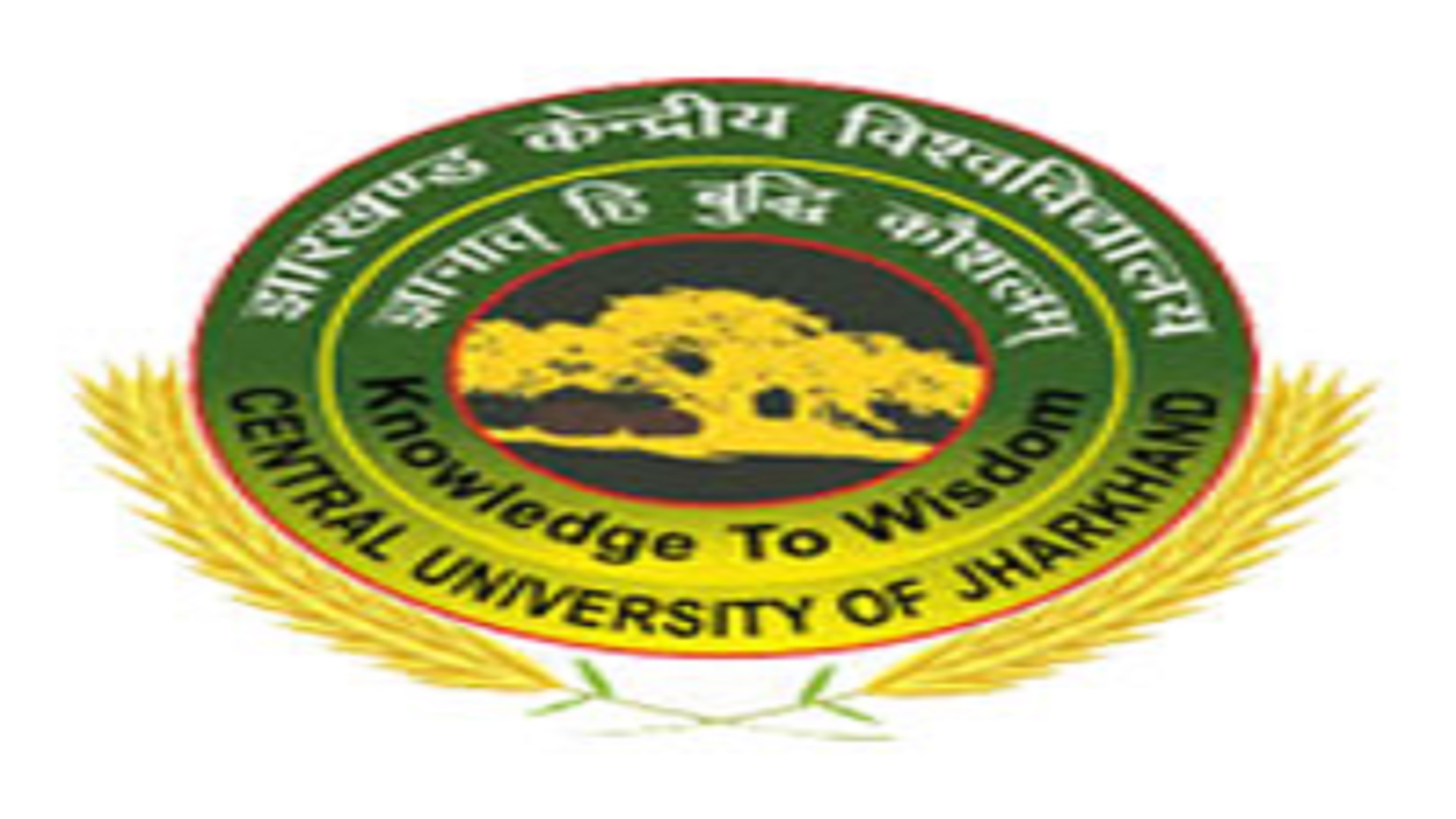 Professor Jobs at CUJ