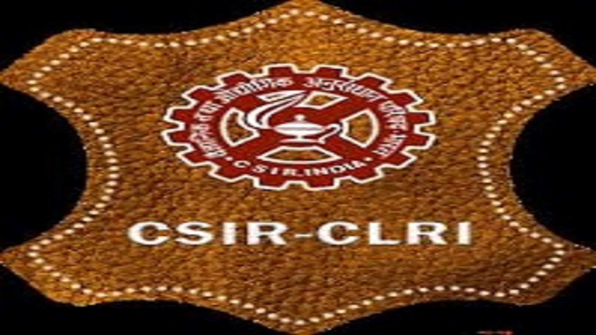 Project Assistant Posts In CSIR-CLRI