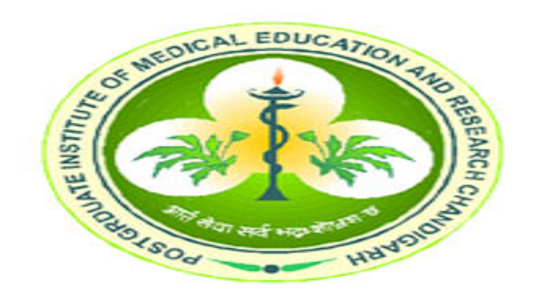 Project Manager Posts In PGIMER