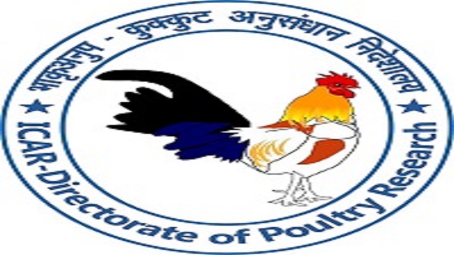Research Associate Posts In DPR, Rajendranagar