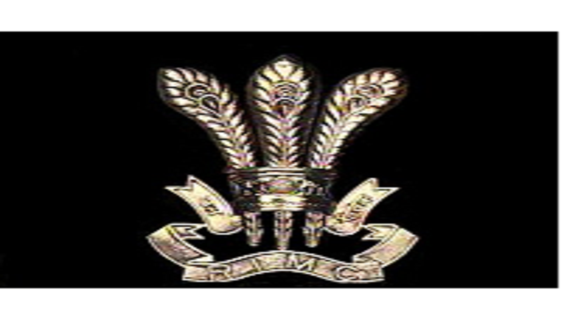 RIMC, Dehradun - Admission to Class VIII