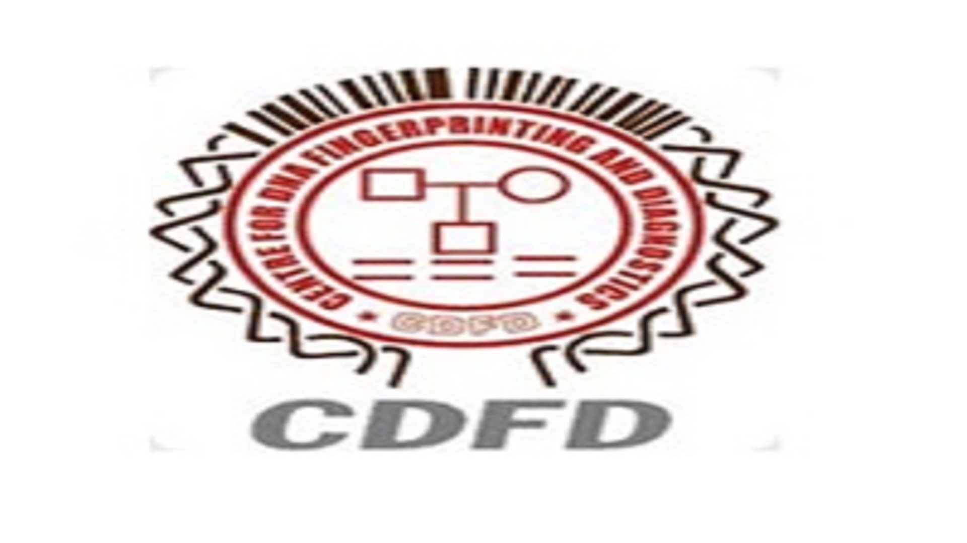 Technical Assistant Posts In CDFD, Hyderabad