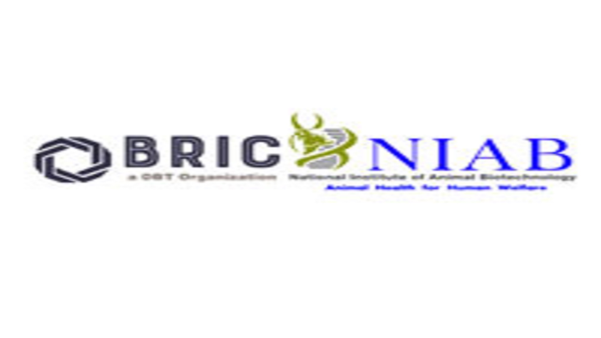 Technical Assistant Posts In NIAB