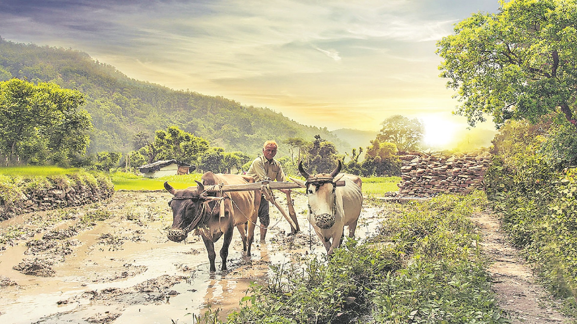 The National Farmers Day