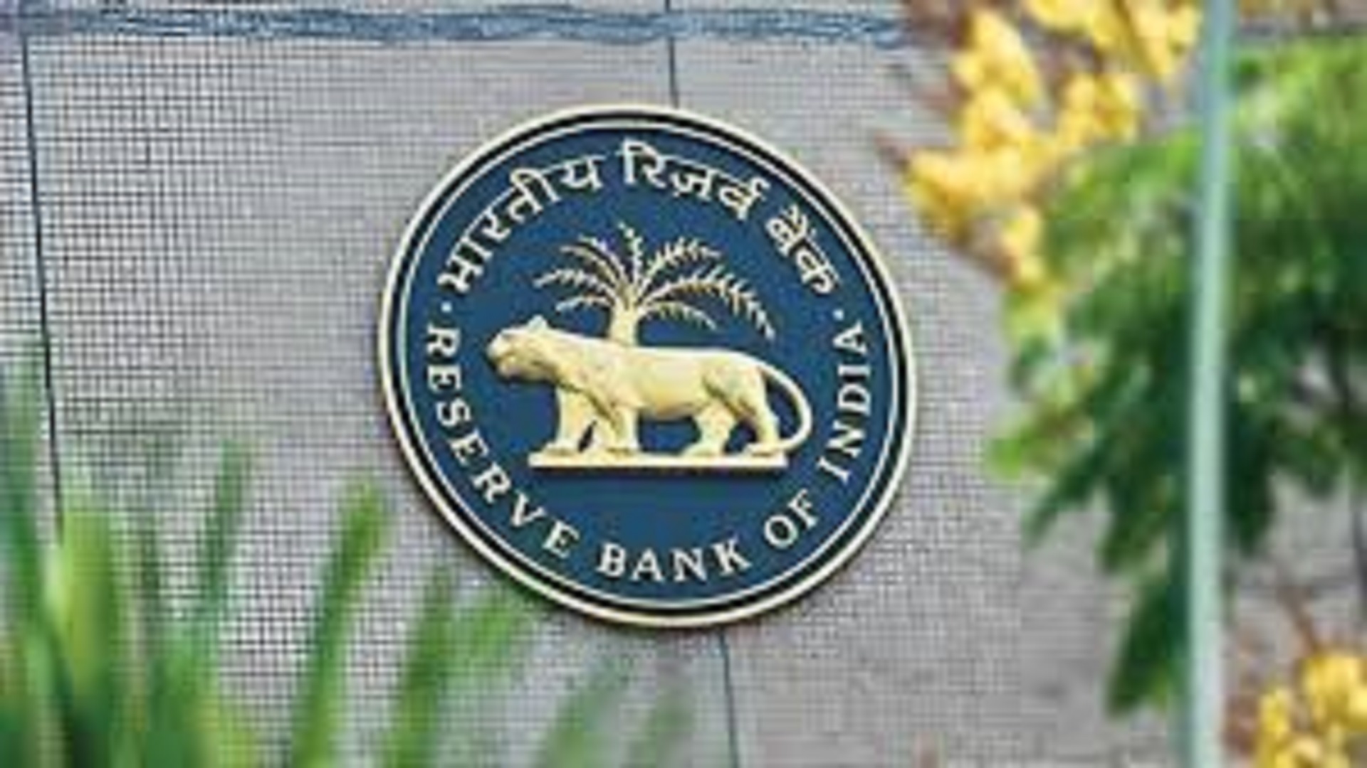 The Reserve Bank of India (RBI)