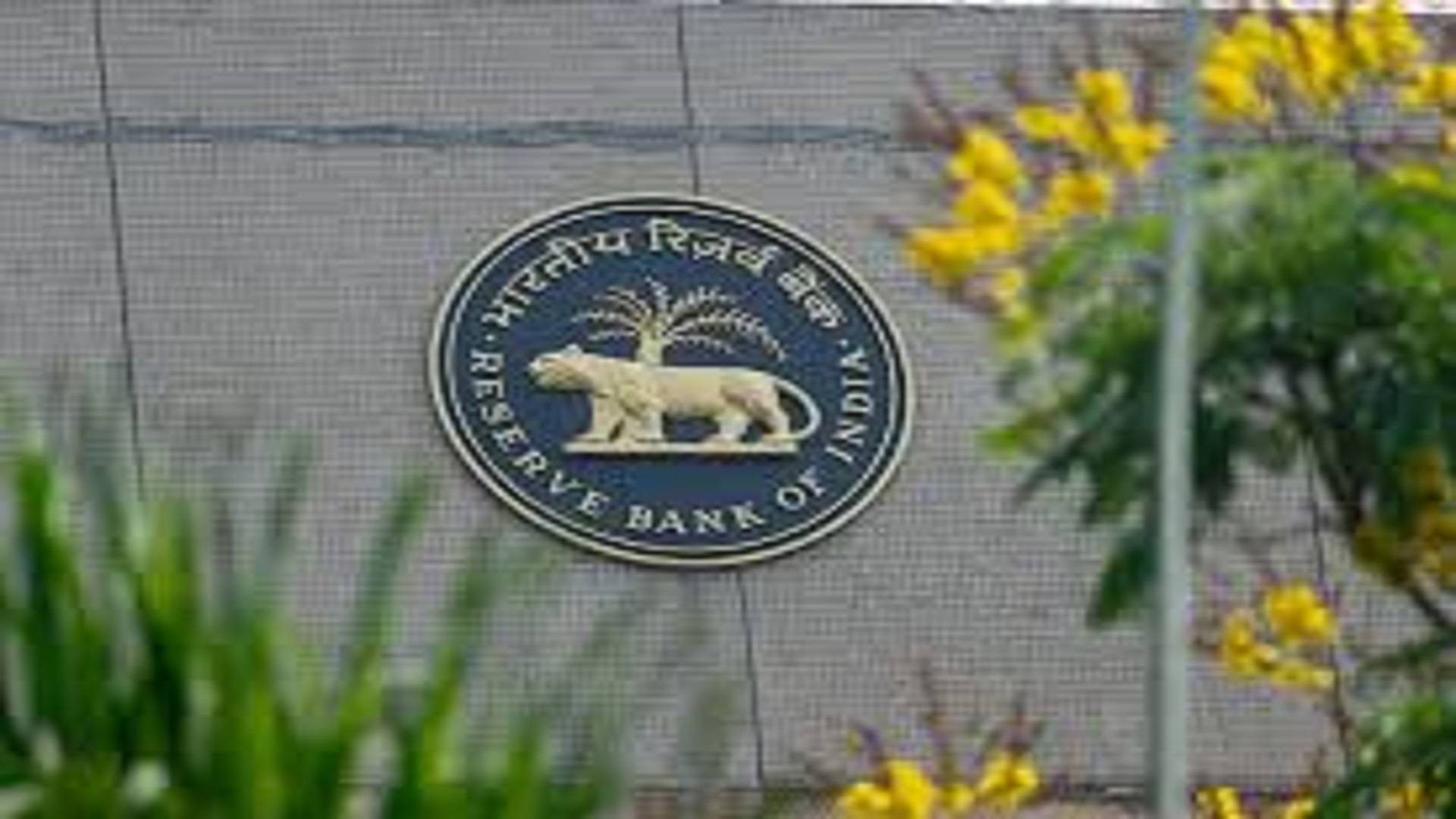 The Reserve Bank of India (RBI)