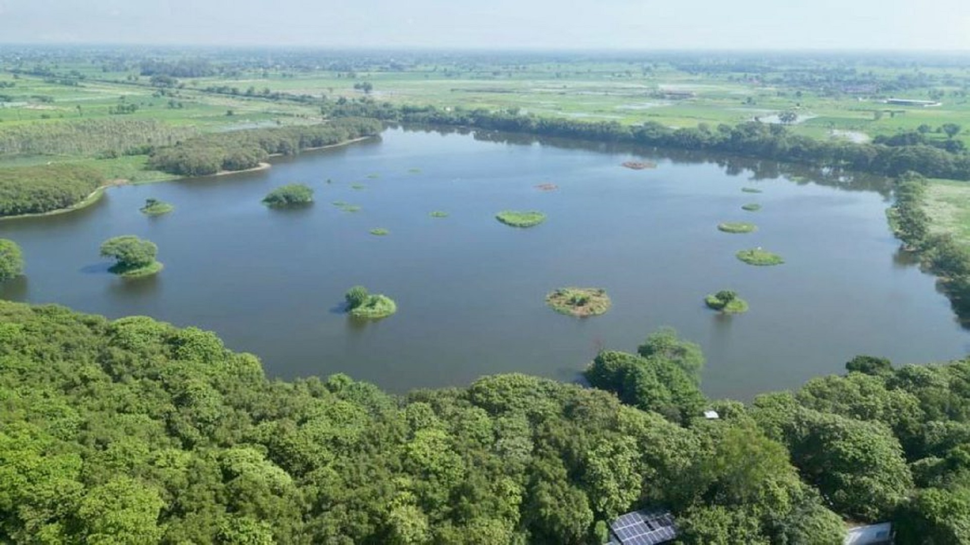 The Shekha Jheel Bird Sanctuary in Uttar Pradesh