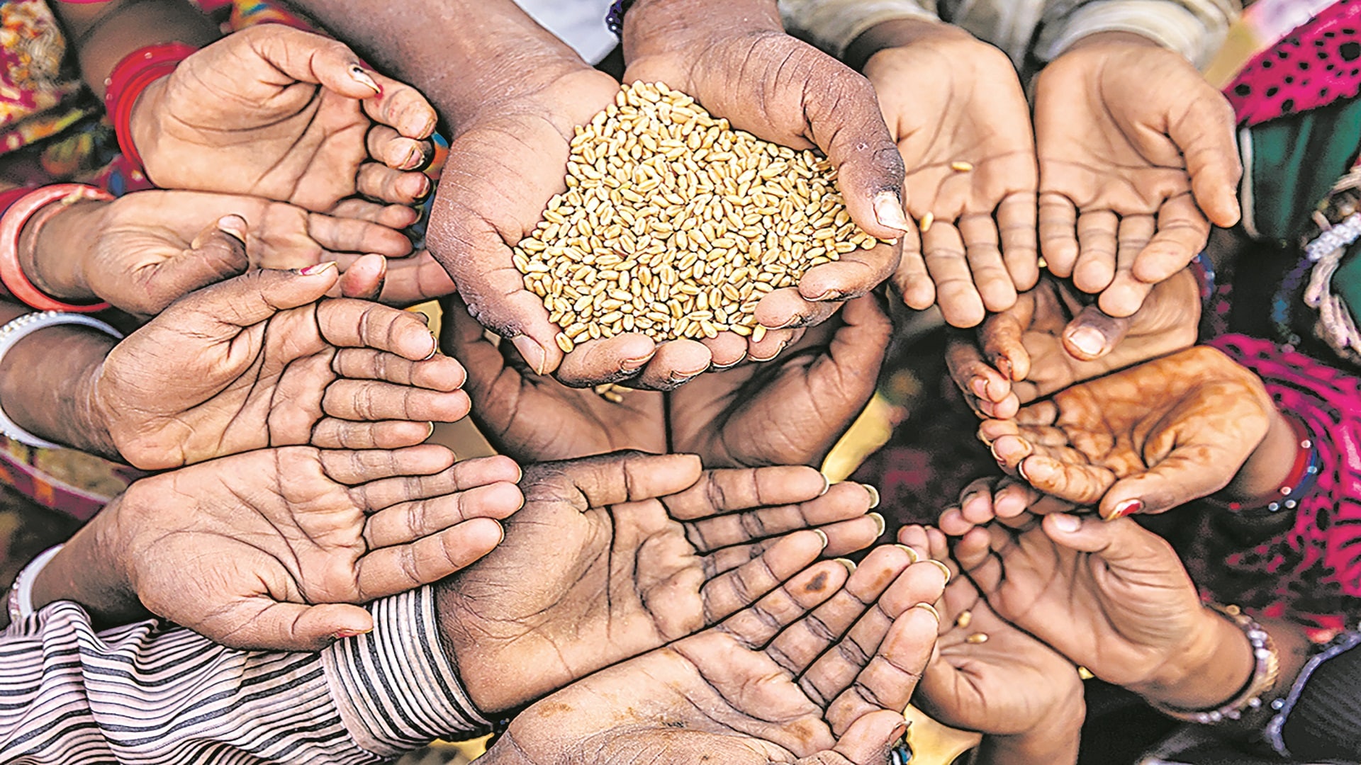 World Hunger Day