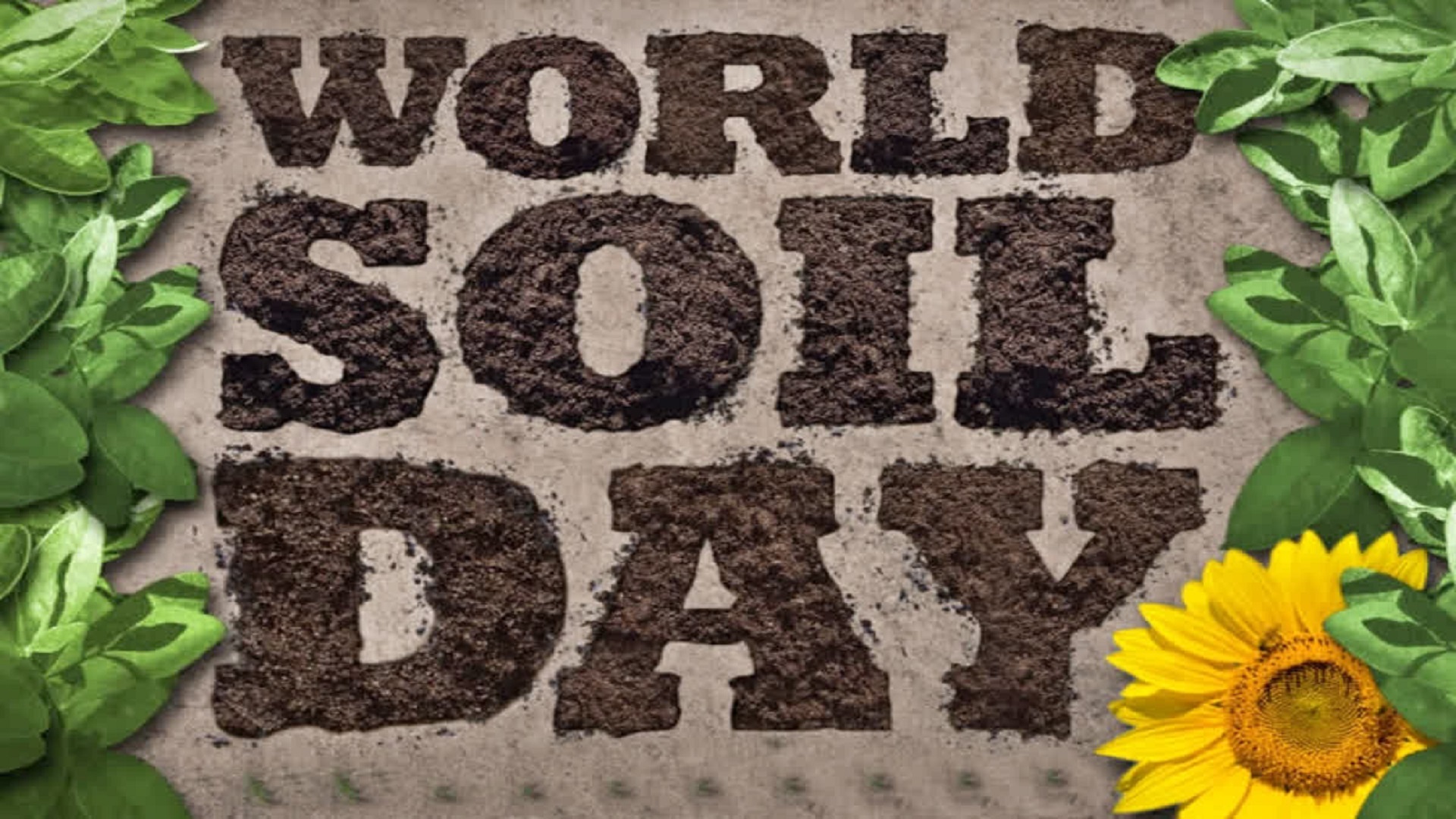 World Soil Day