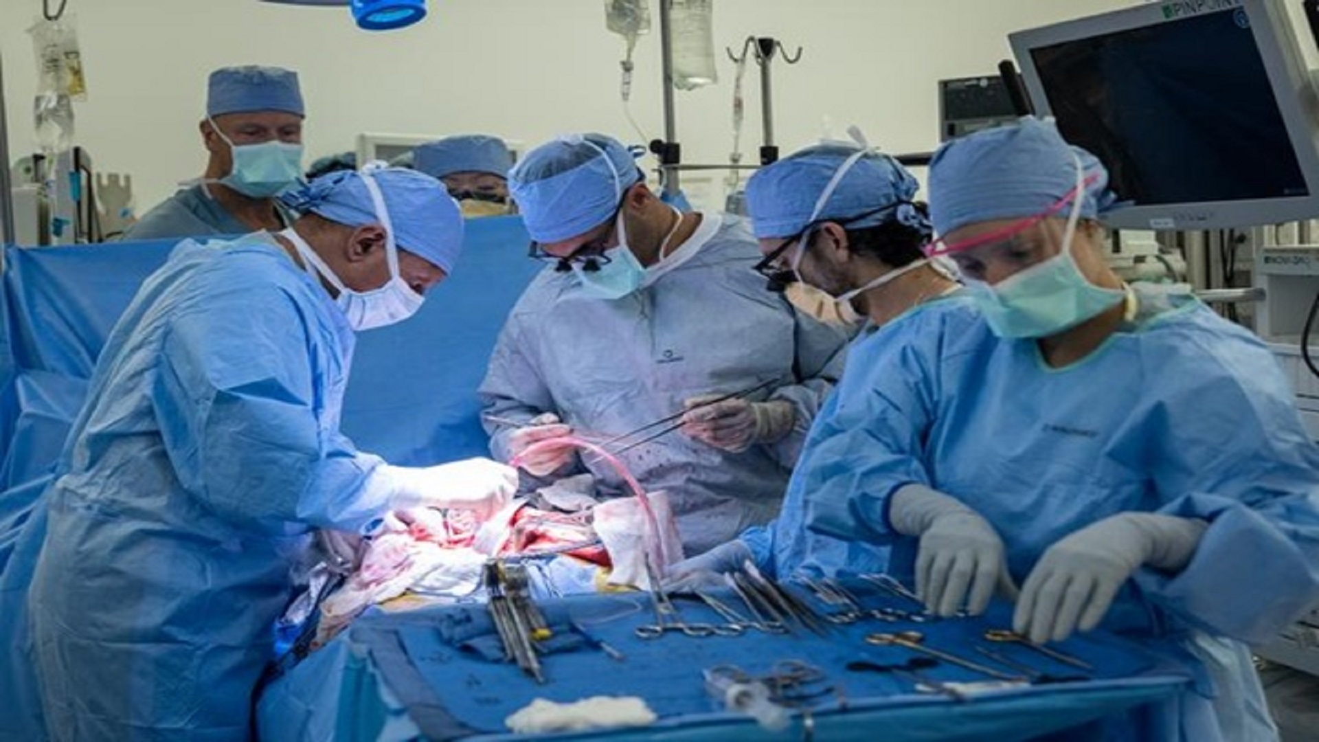 world’s first in-human bladder transplant