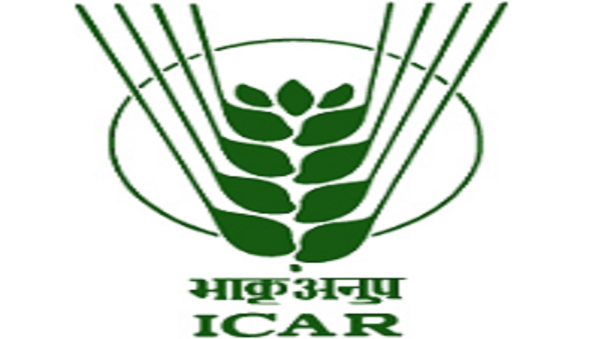 Young Professional Posts at IARI