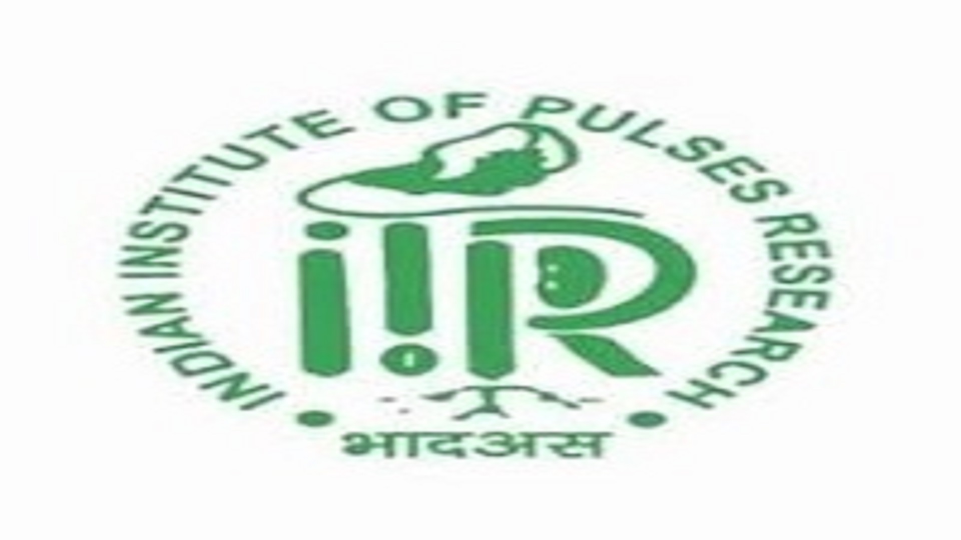 Young Professional Posts In IIPR