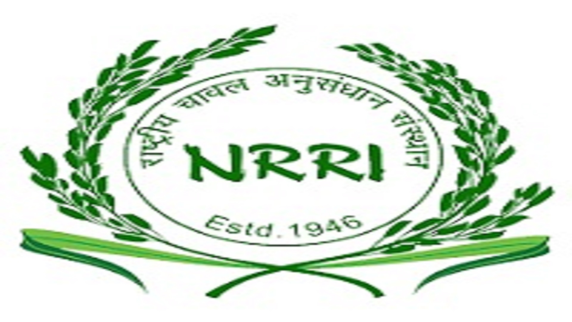 Young Professional Posts In NRRI